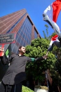 EgyptJennyLynnIntern