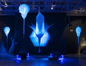 Anna Nguyen/New University