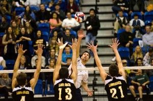 Marlon Castillo | New University