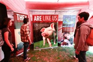 Tommy Pham | New University