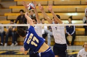 Marlon Castillo | New University