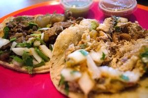 Marlon Castillo | New University