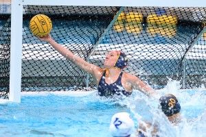 Marlin Agoub | New University