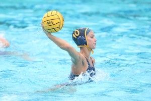 Marlin Agoub | New University