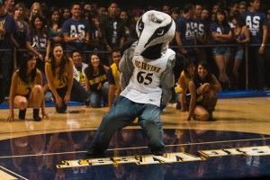 Phuc Pham | New University