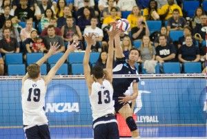 Marlon Castillo | New University