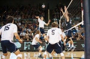 Chris Lee | New University