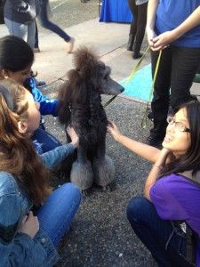 Courtesy of Jessica Pratt