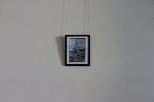 Kelly Kimball | Photo Intern