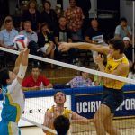Mvball_DavidconleyStaff