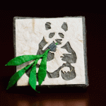PandaPooJasonDavisIntern3