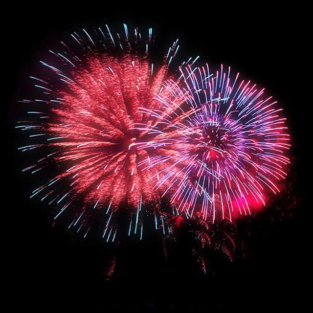 red and blue fireworks burst into the night sky.