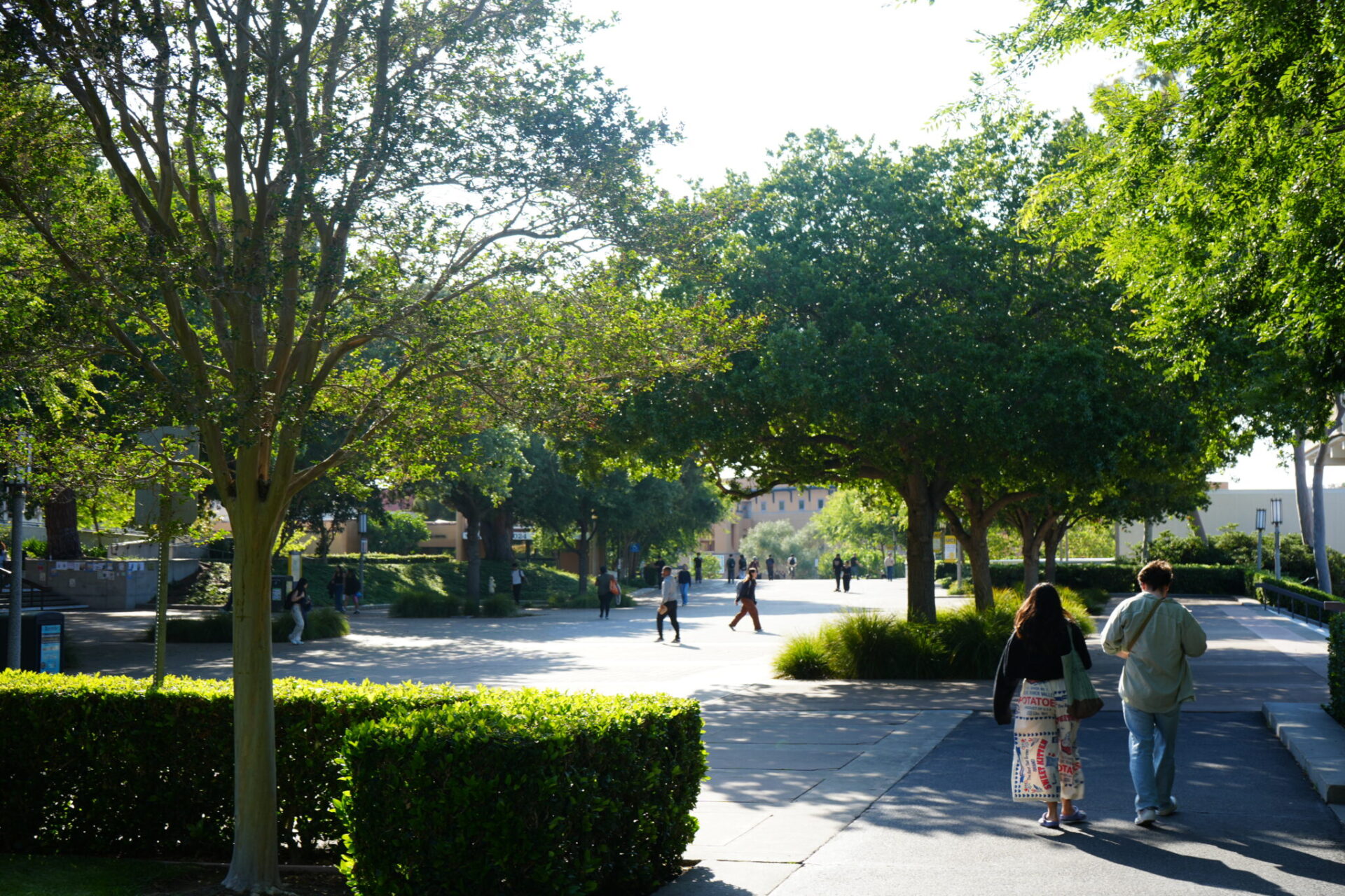 The Ring Mall center in front of the Langson and Gateway libraries are shown. Students can be seen walking around in the area.