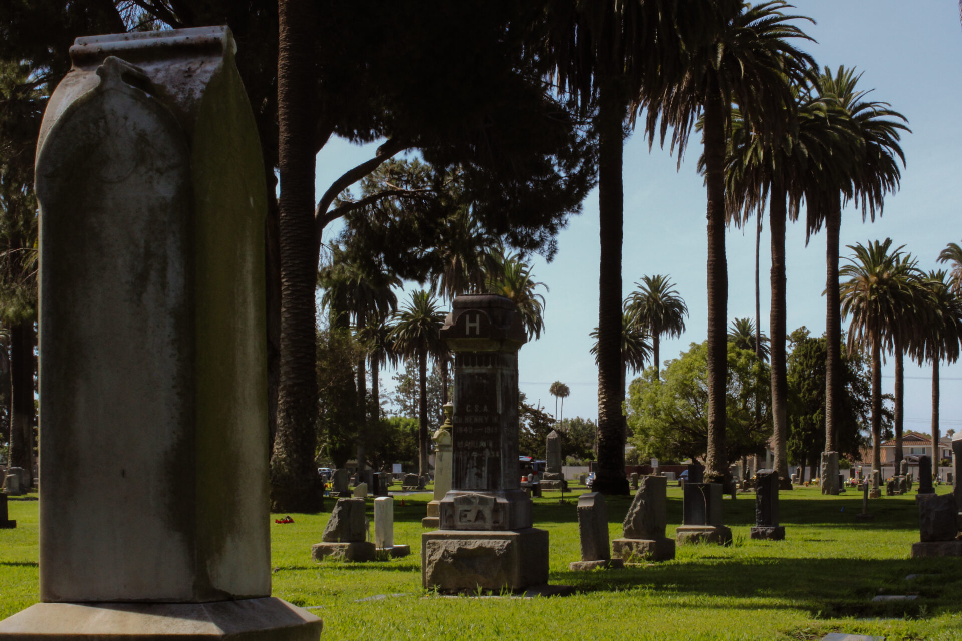 Cemetery with palm trees in the background