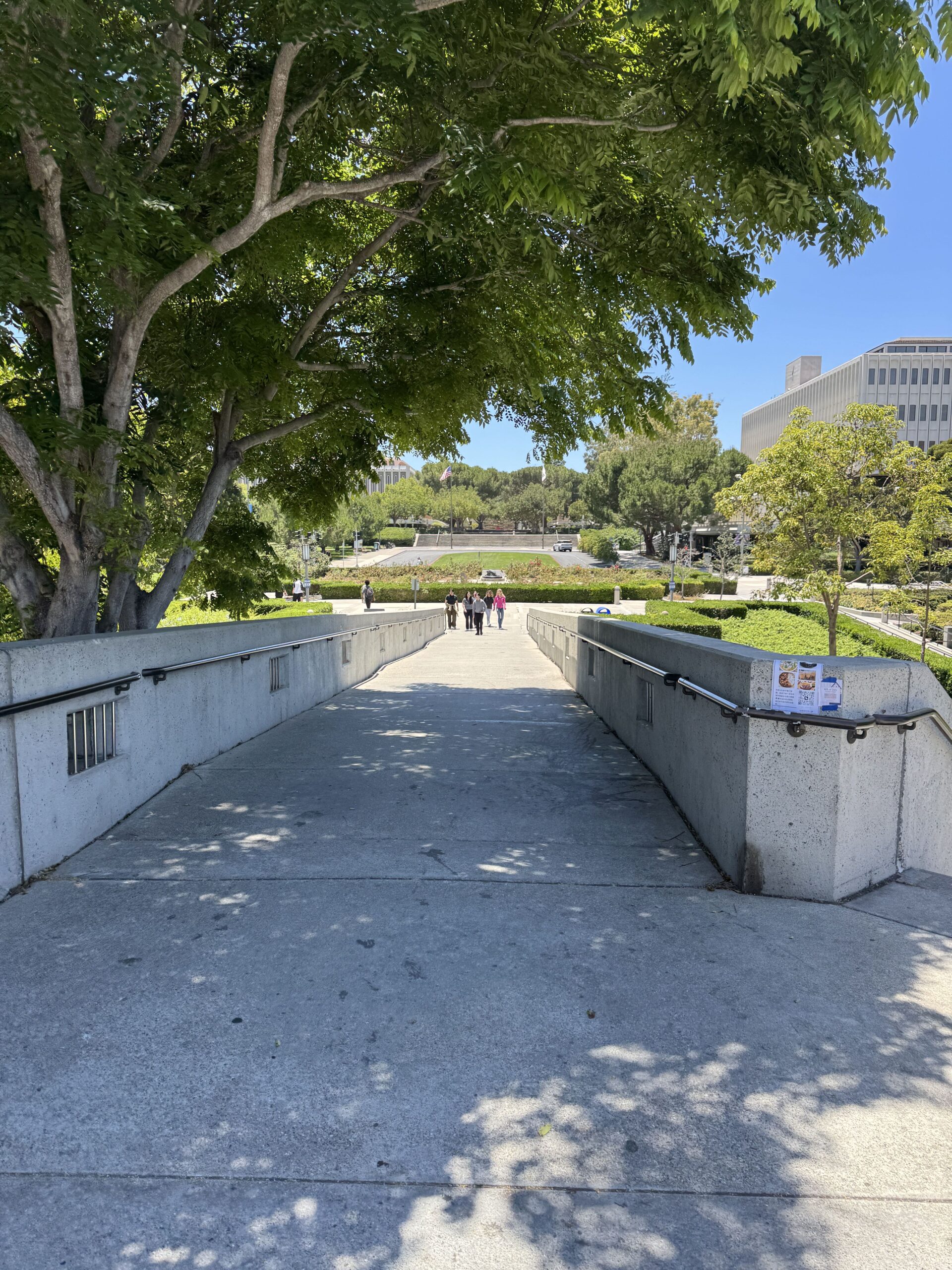 A wide concrete pedestrian bridge with low walls and handrails leads toward UCI's campus, shaded by a large overhanging tree in the foreground. A small group of people walk in the distance near a grassy circular courtyard with hedges, flags, and university buildings visible under a clear blue sky.