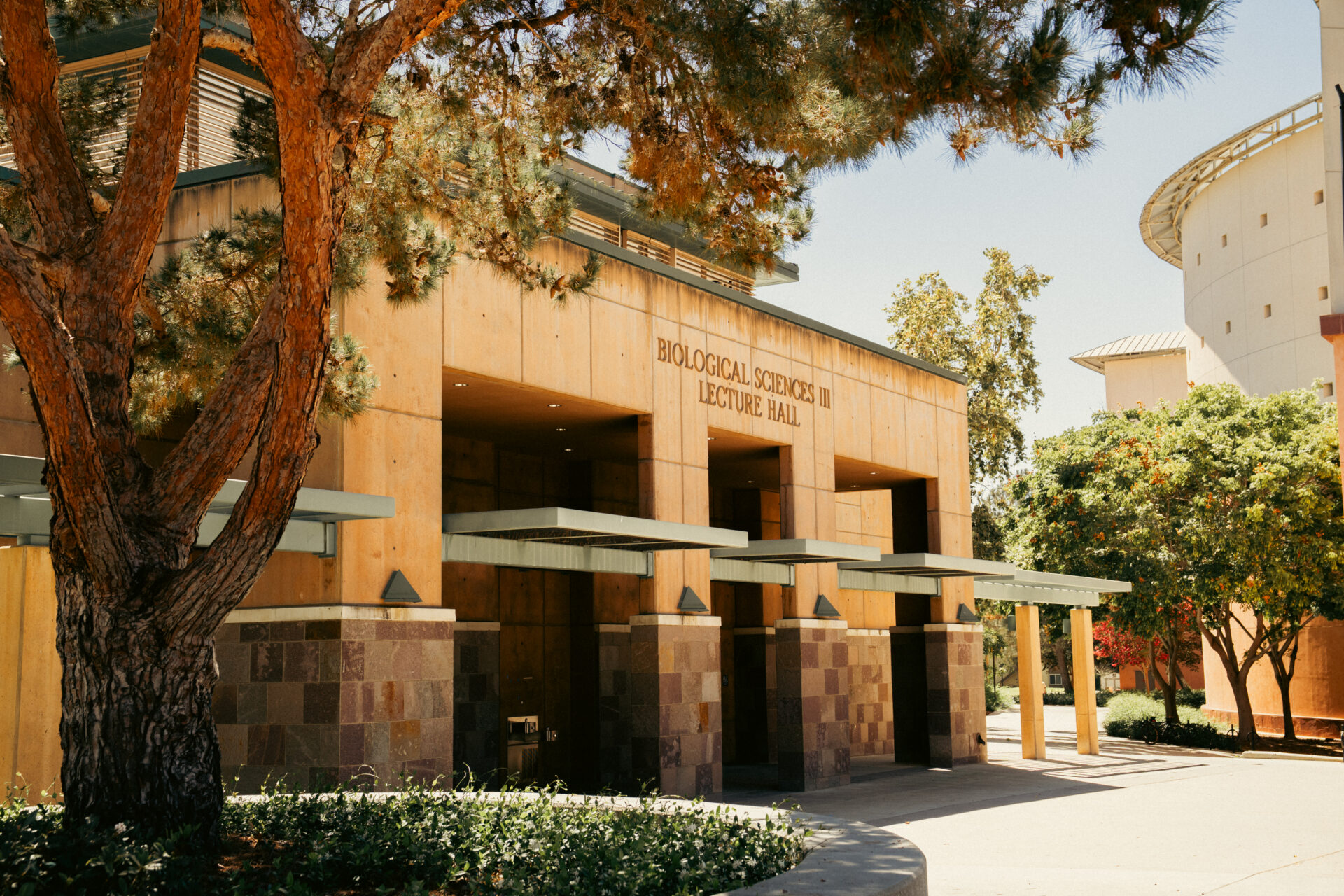 The tan, tile-accented exterior of the Biological Sciences III Lecture Hall building at UC Irvine, with 