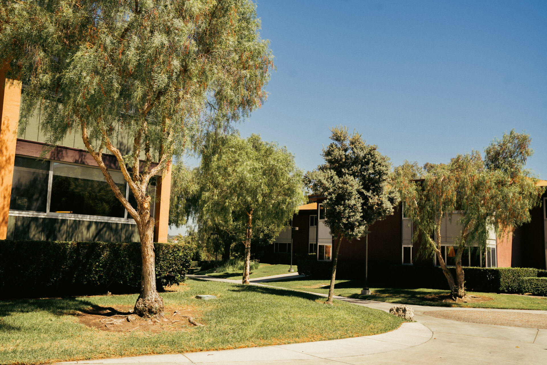 Campus lamp post and trees frame a modern UC residential building and bicycle parking along a pedestrian walkway.