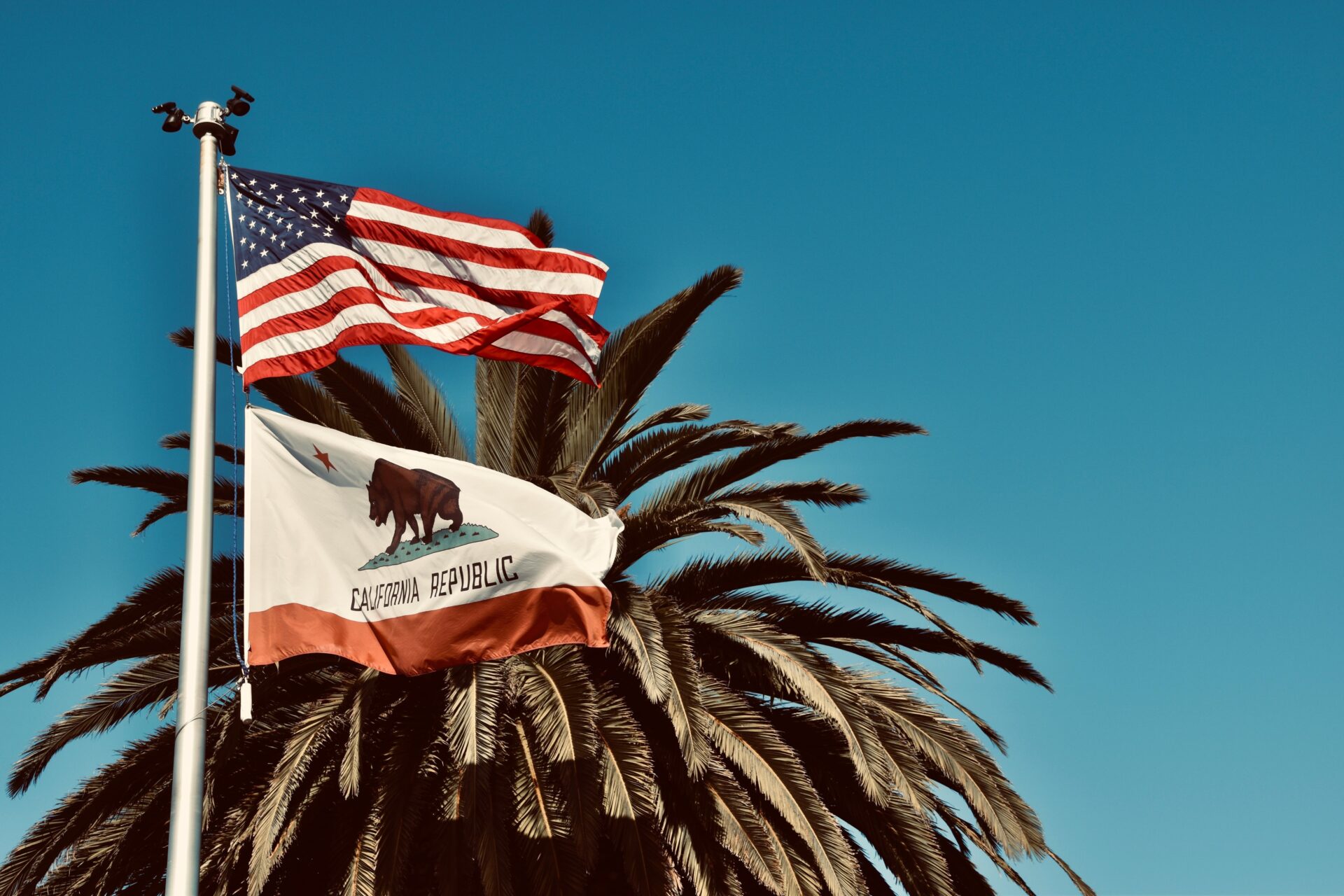 An American flag and a Californian flag fly on a white flagpole. In the background, the top of a palm tree is visible and the sky is a dark shade of cyan.